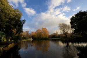 Winter Sunset on the Duck Pond, St Stephen's Green Park,