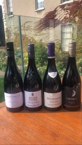 pinot-noir-day
